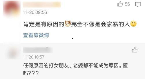 明星家暴爆料热搜视频,热搜视频揭露惊人真相