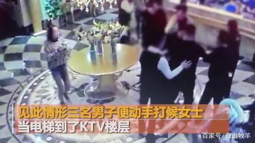 大王爆料青岛事件视频全集,大王爆料视频全集深度解析
