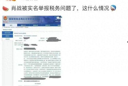 娱乐圈虚假营销爆料,揭开明星背后的商业秘密