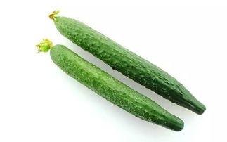 爆料黄瓜特效视频大全