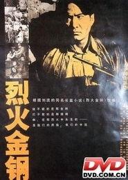 金钢在线观看,揭秘网络直播的崛起与挑战