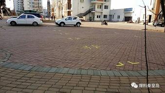 家园小区爆料视频最新,揭秘神秘事件真相！