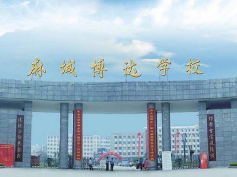 博达学院最新爆料