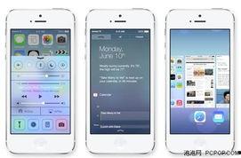 老罗爆料苹果视频大全最新,老罗带你领略苹果视频大全全貌