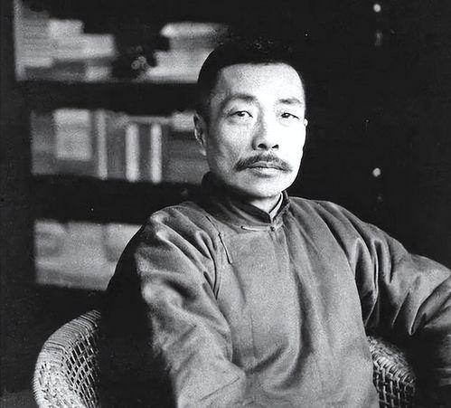 鲁迅最新爆料新闻视频大全,揭秘历史真相与时代风云