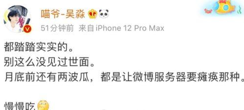 圈内人爆料废话语录,揭秘废话语录背后的惊人真相